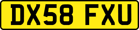 DX58FXU