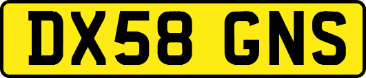DX58GNS