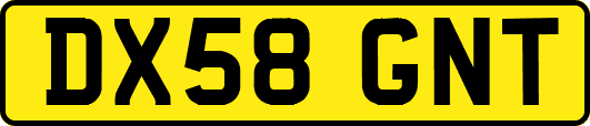 DX58GNT