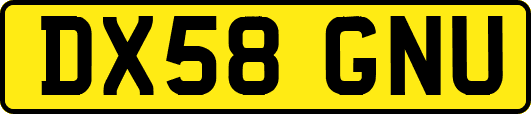 DX58GNU