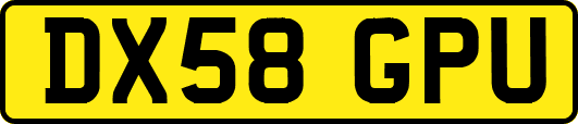 DX58GPU