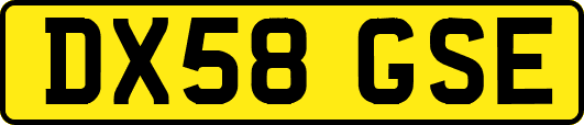 DX58GSE