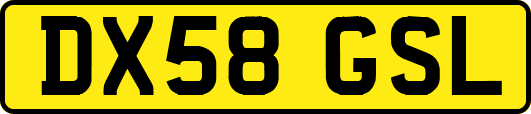 DX58GSL