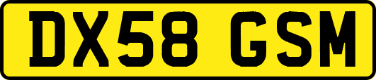 DX58GSM