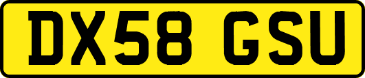 DX58GSU