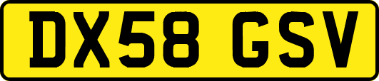 DX58GSV