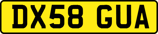 DX58GUA