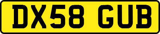 DX58GUB