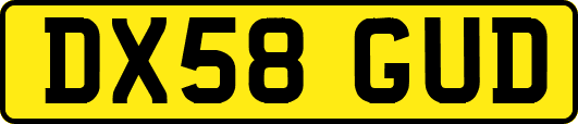 DX58GUD