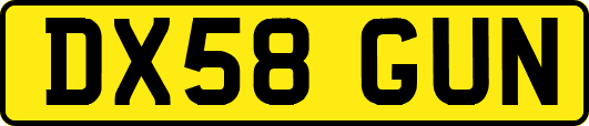 DX58GUN