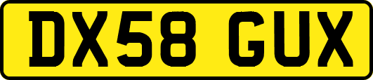 DX58GUX