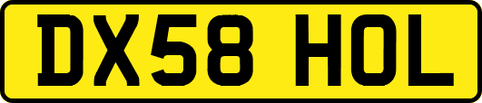 DX58HOL