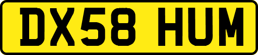 DX58HUM