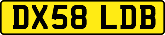 DX58LDB