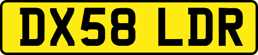 DX58LDR