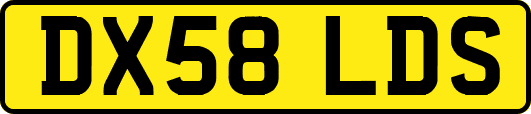 DX58LDS