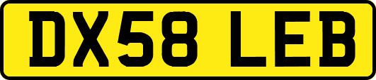 DX58LEB