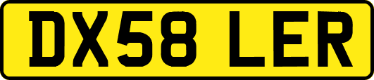 DX58LER