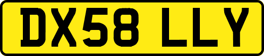 DX58LLY