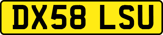 DX58LSU