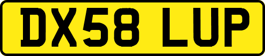 DX58LUP
