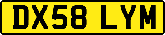 DX58LYM