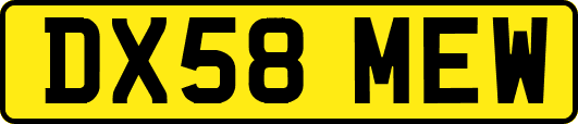 DX58MEW