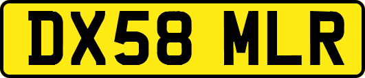 DX58MLR
