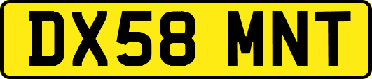 DX58MNT