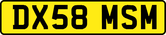 DX58MSM
