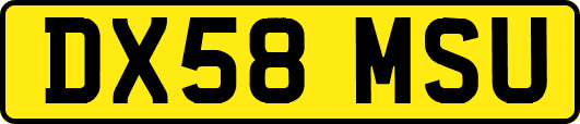 DX58MSU
