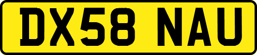 DX58NAU