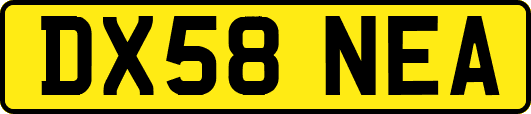 DX58NEA
