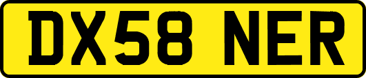 DX58NER
