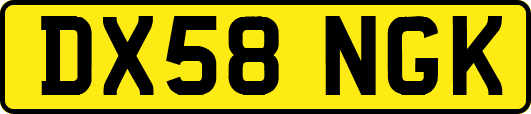 DX58NGK