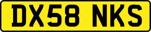 DX58NKS