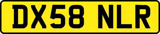 DX58NLR