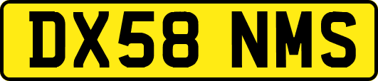 DX58NMS
