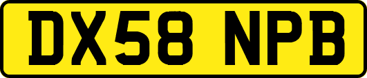 DX58NPB