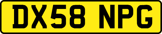 DX58NPG