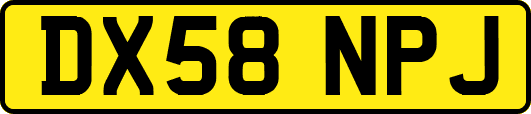 DX58NPJ