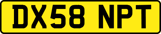 DX58NPT