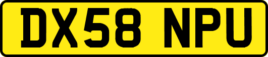 DX58NPU