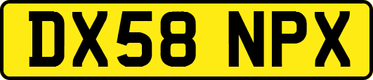 DX58NPX