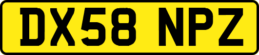 DX58NPZ