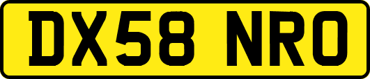 DX58NRO