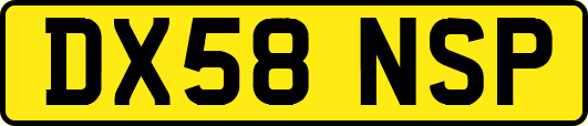 DX58NSP