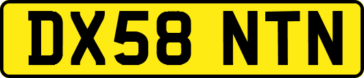 DX58NTN