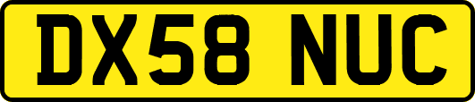 DX58NUC