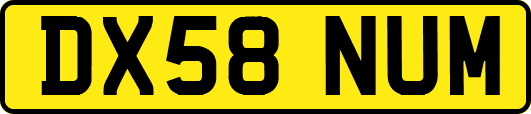 DX58NUM